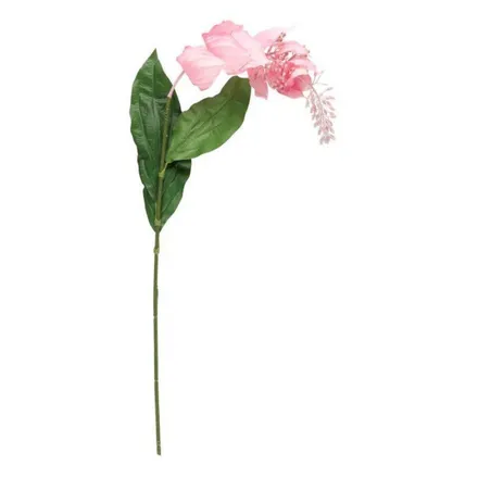 Kunstlill Medinilla H88 roosa