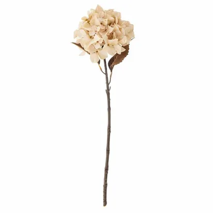 Kunstlill Hortensia H65 beež