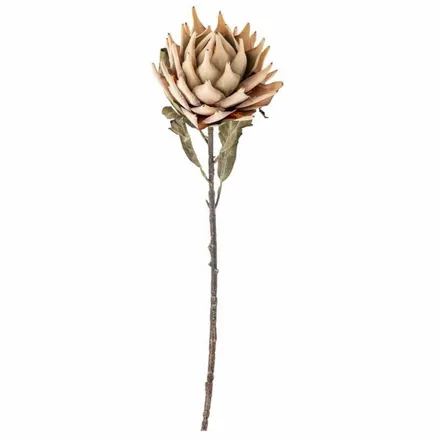 Kunstlill Protea H76 beež